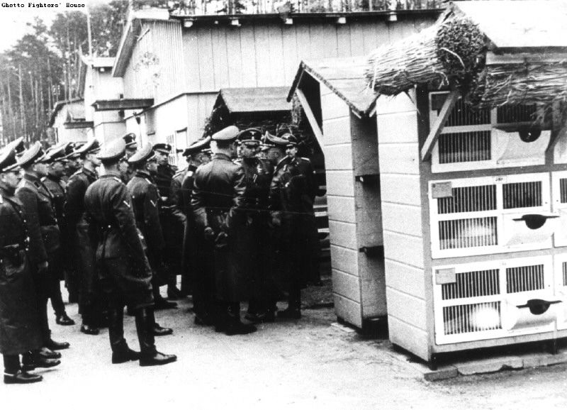 Himmler views the rabbit cages at Stutthof